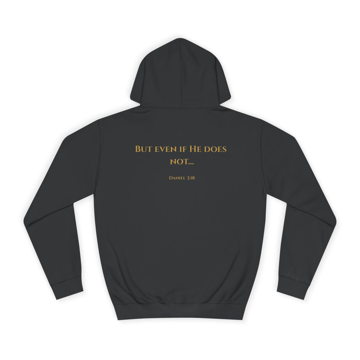 Faith That Doesn’t Bow – Daniel 3:18 | Premium Christian Unisex Hoodie