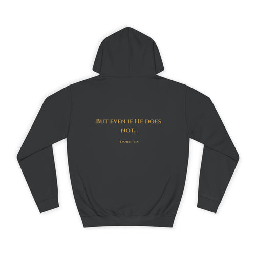 Faith That Doesn’t Bow – Daniel 3:18 | Premium Christian Unisex Adult T-Shirt | Speak Life